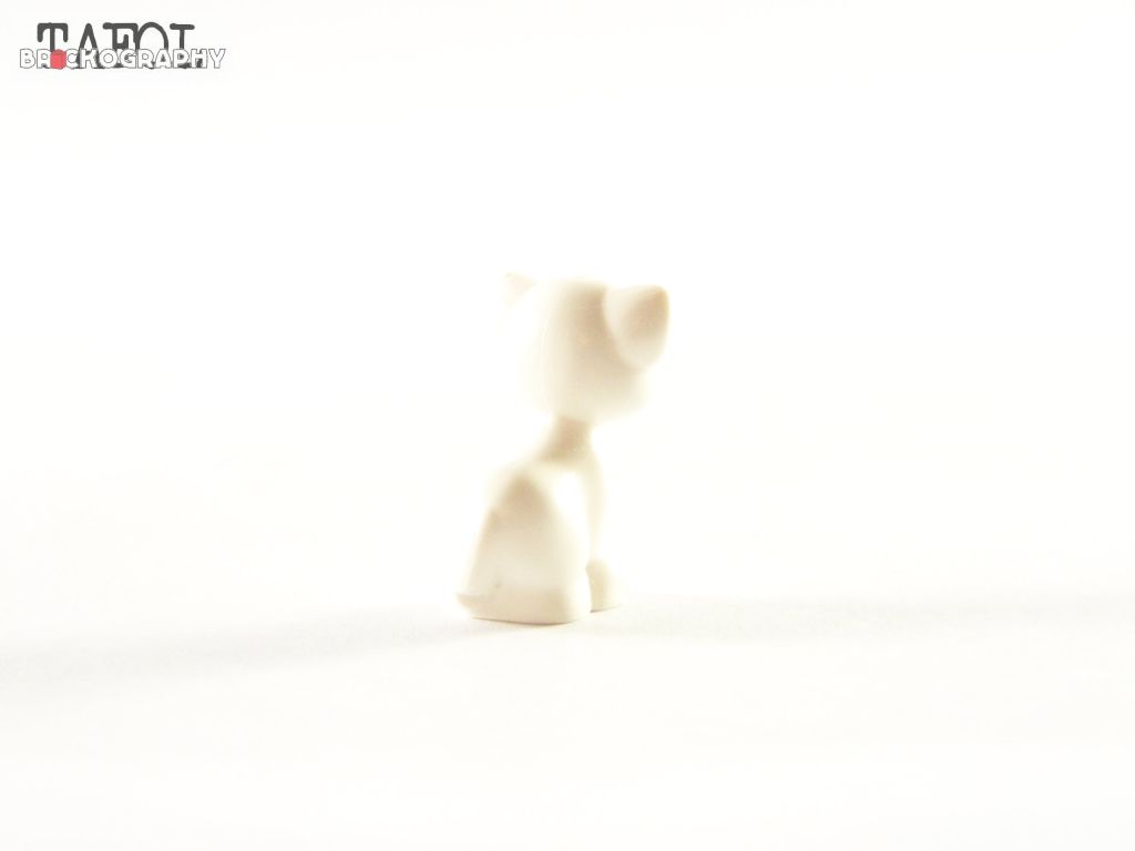 100_3335.jpg