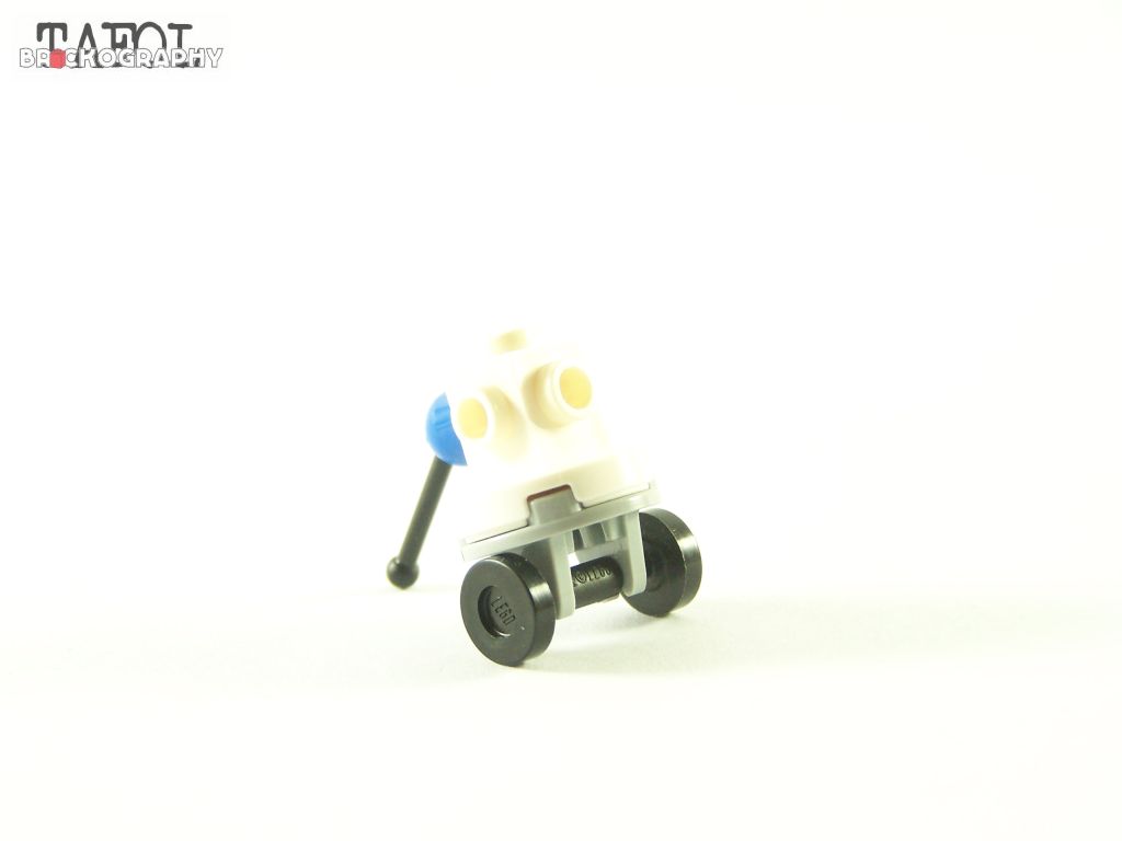 100_9574.jpg