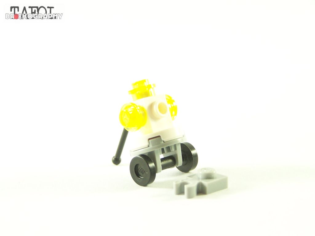 100_9575.jpg
