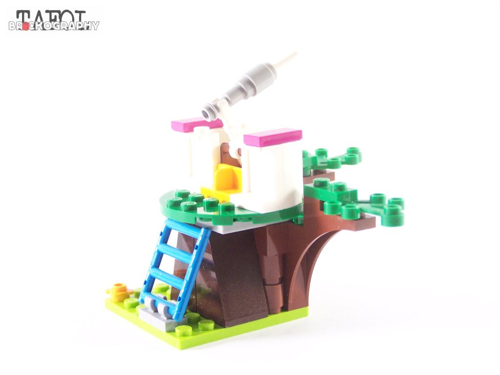 100_9593.jpg