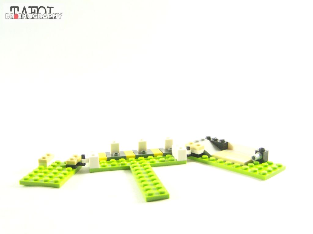100_6798.jpg