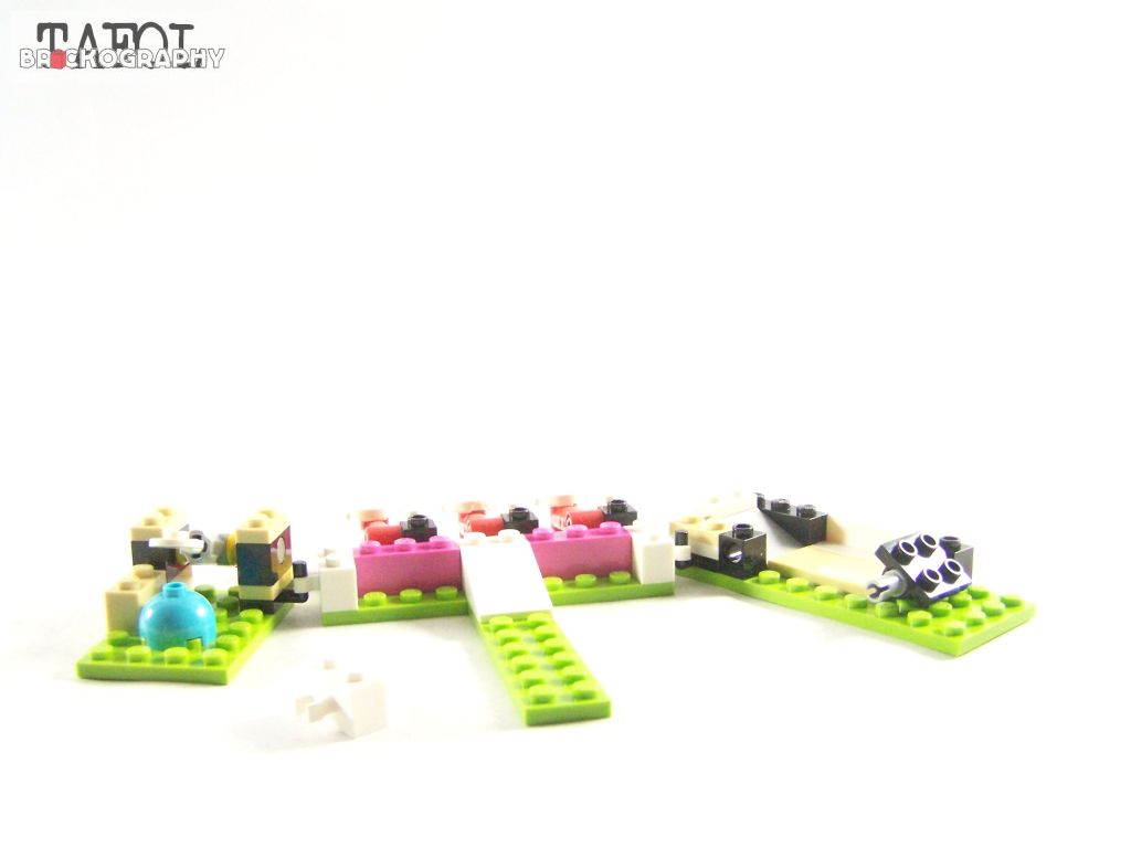 100_6811.jpg