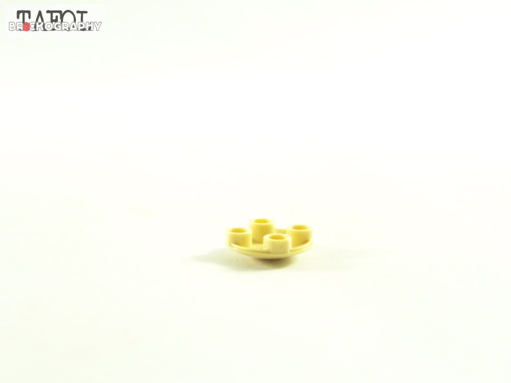 100_6828.jpg