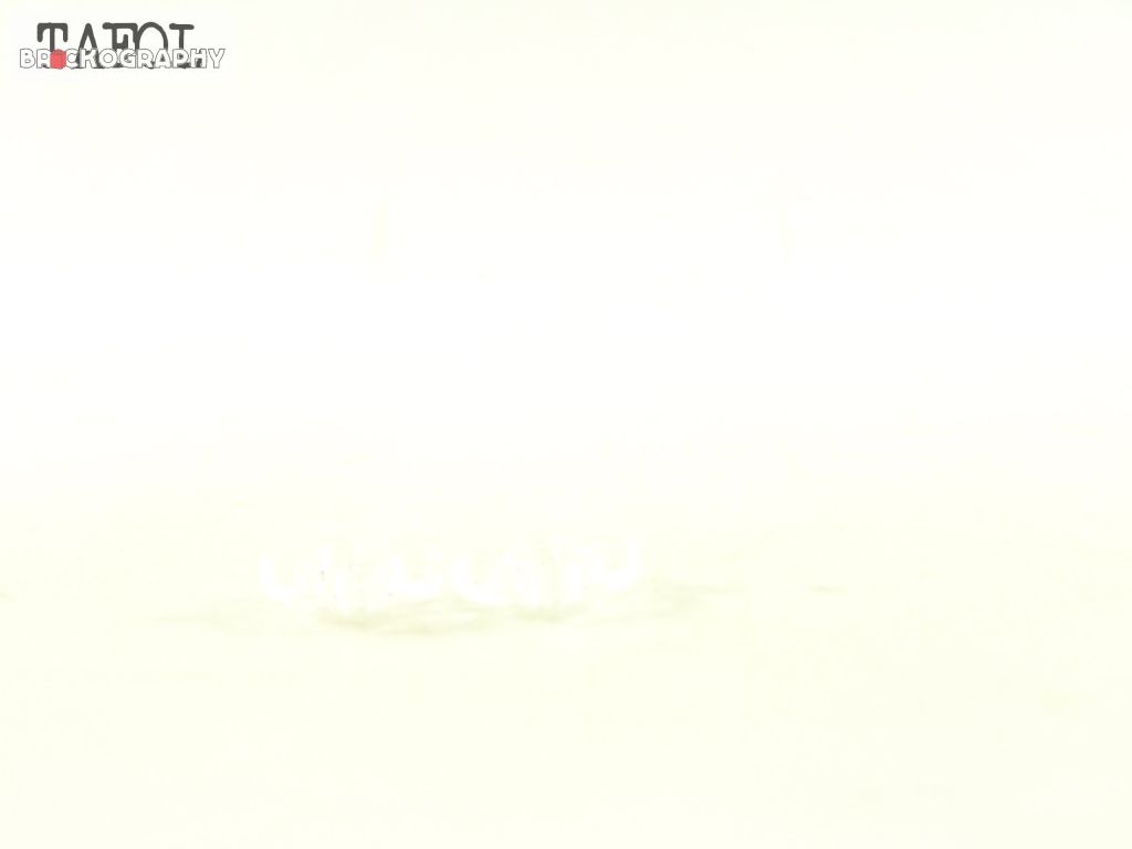 100_6165.jpg