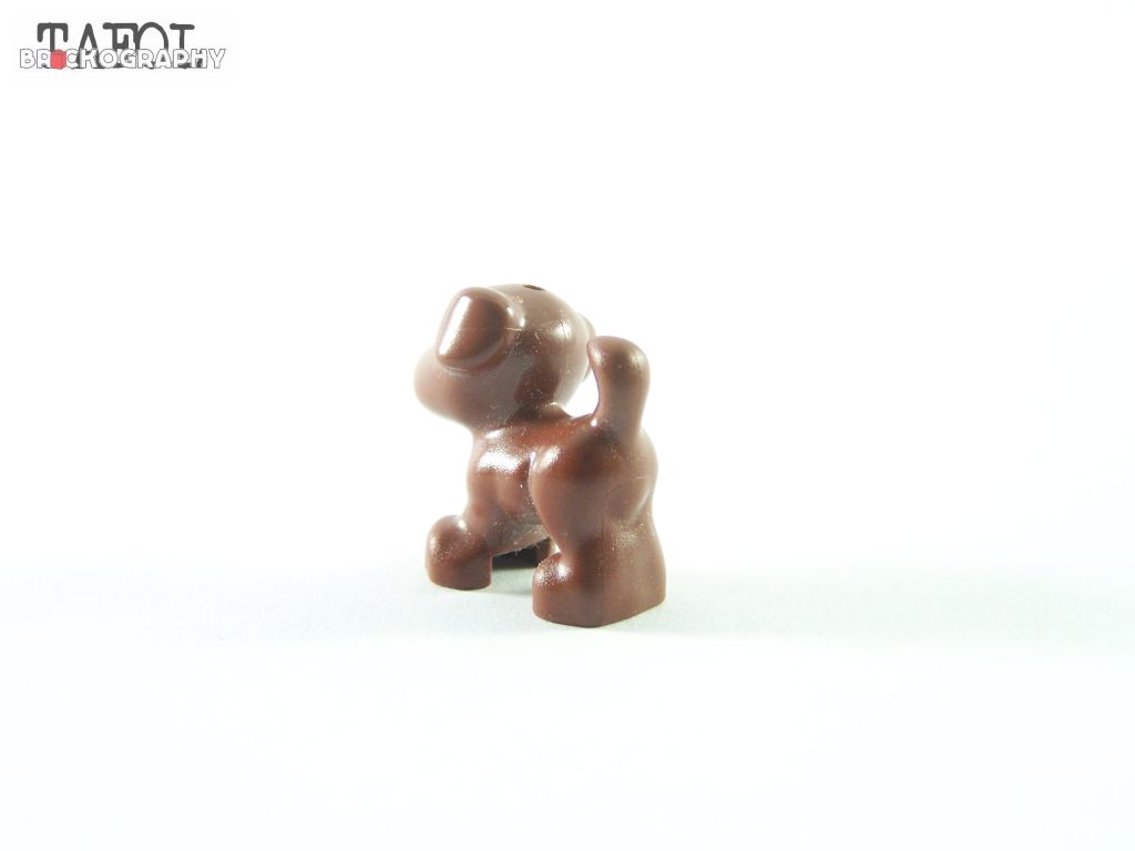 100_9482.jpg