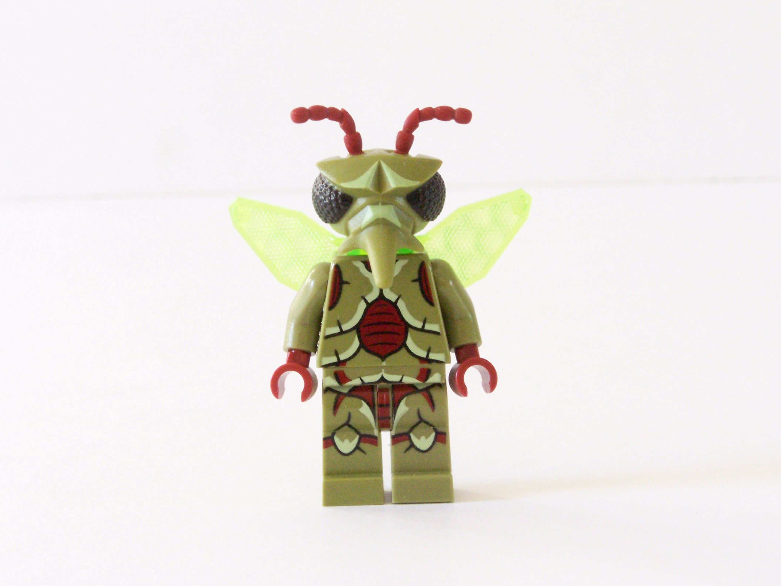 100_0080.jpg