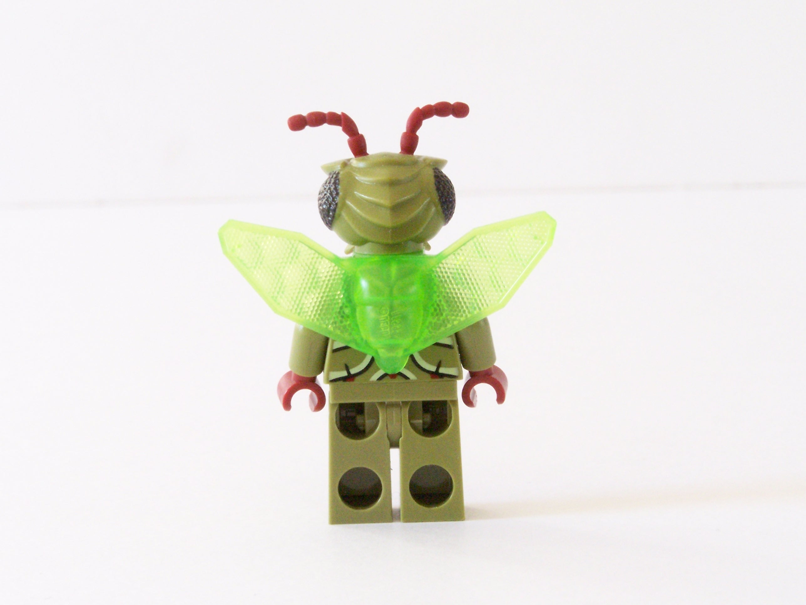 100_0081.jpg