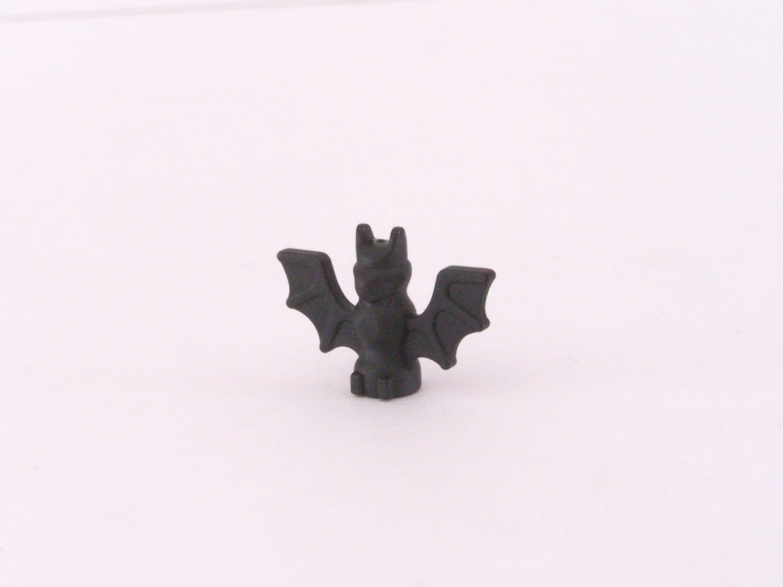 100_1024.jpg