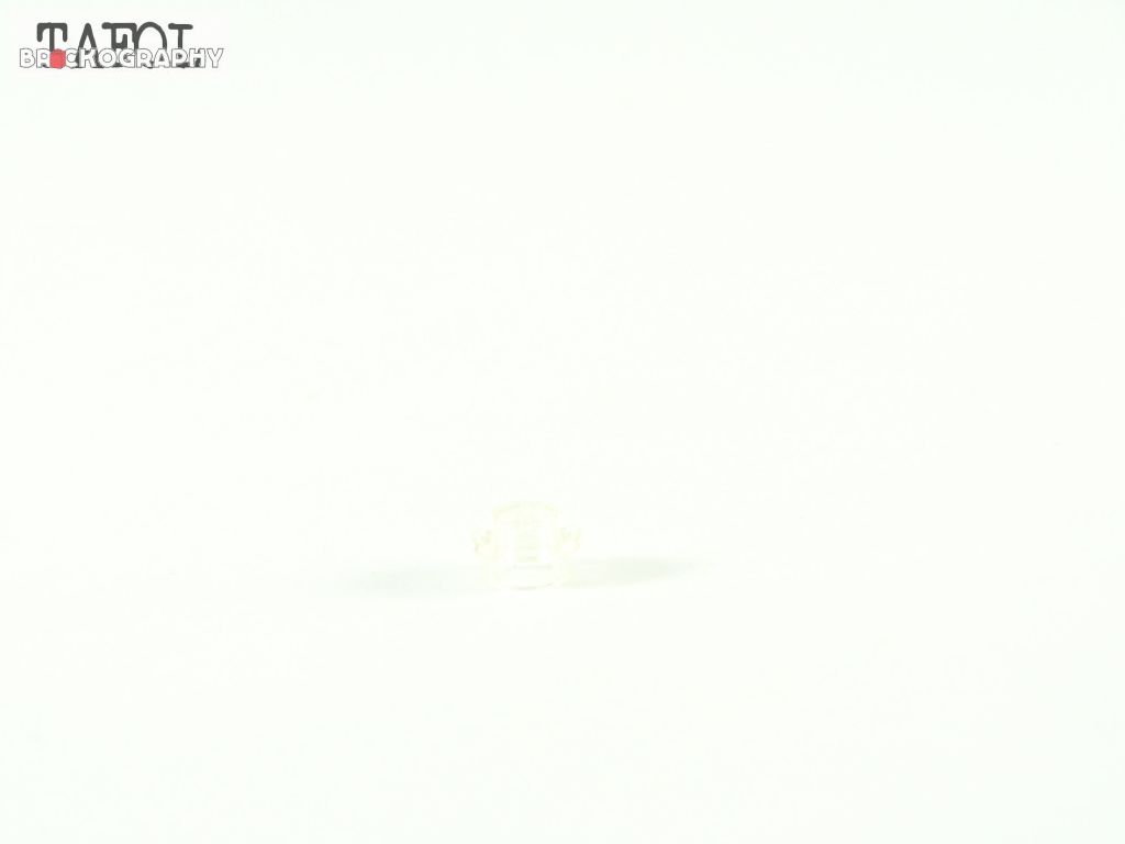 100_9903.jpg