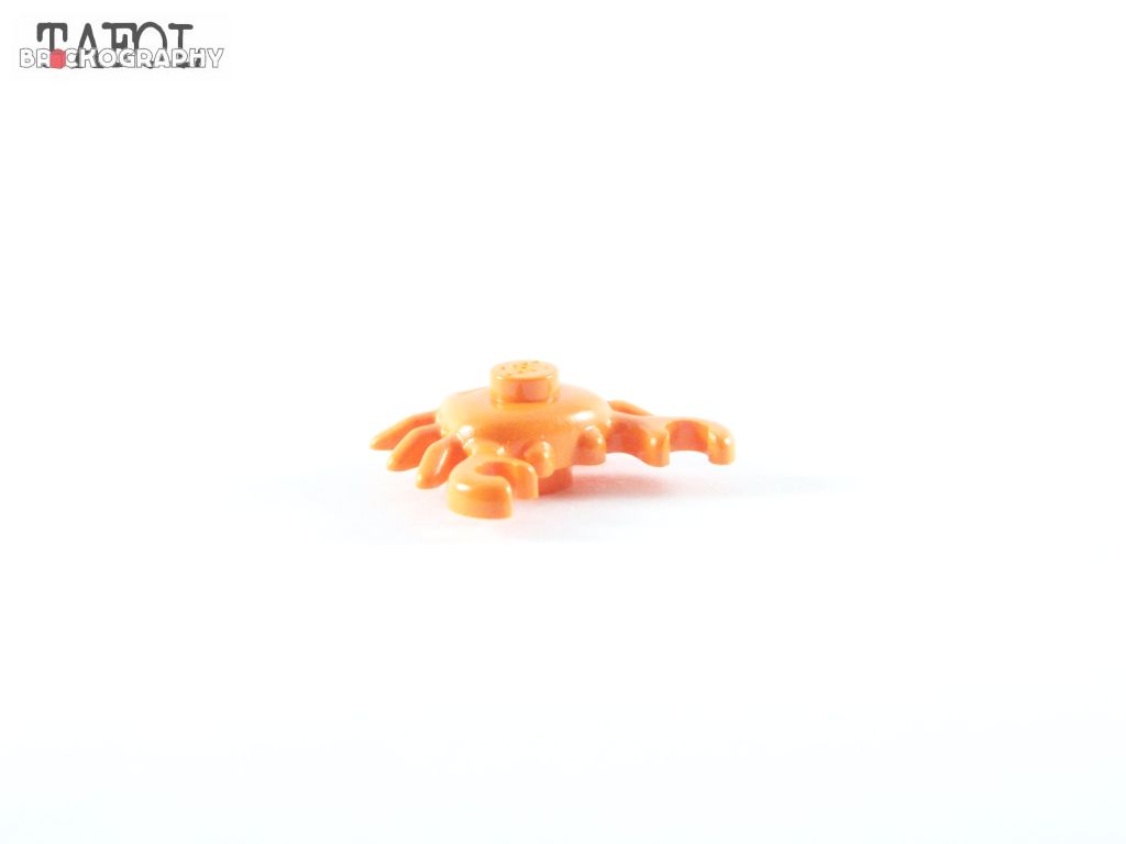 100_3285.jpg