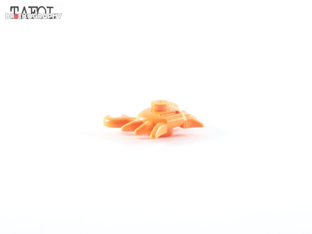 100_3286.jpg