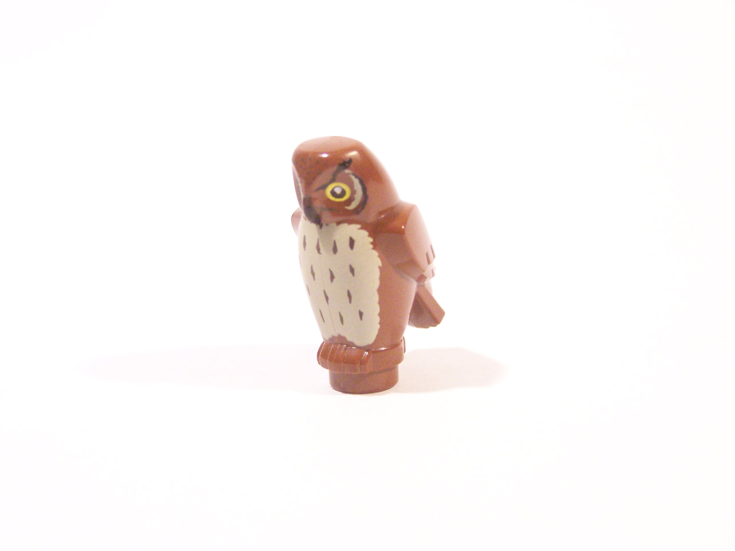 100-4619.jpg