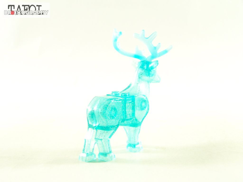 100_3898.jpg