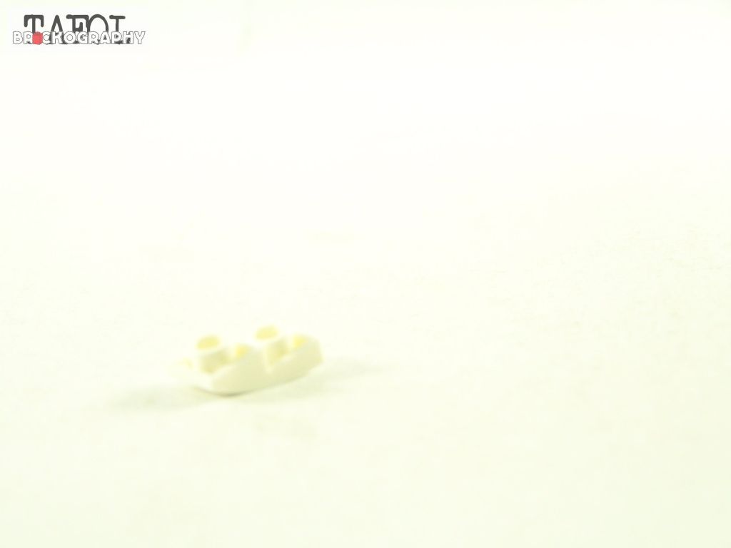 100_2058.jpg