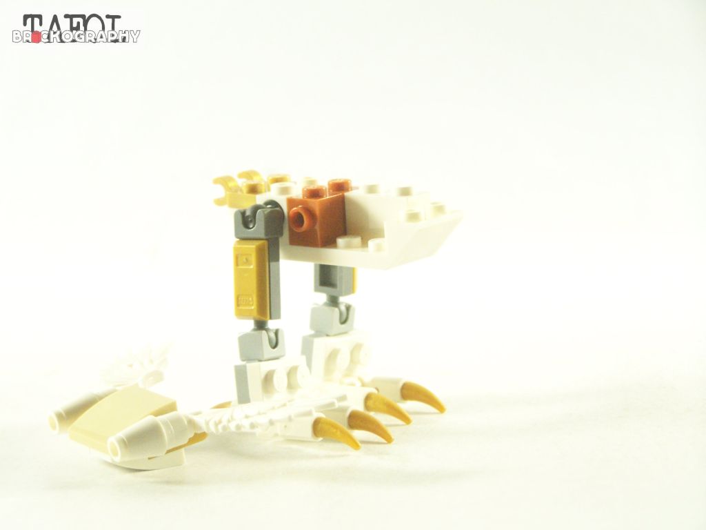 100_2062.jpg