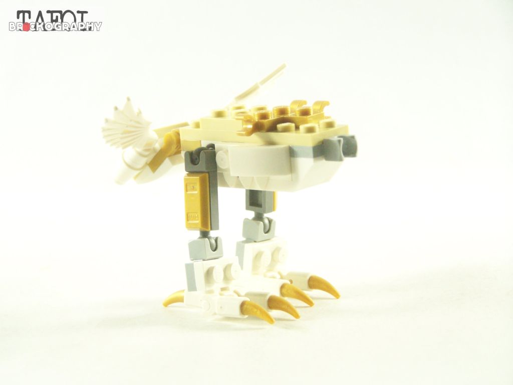 100_2065.jpg