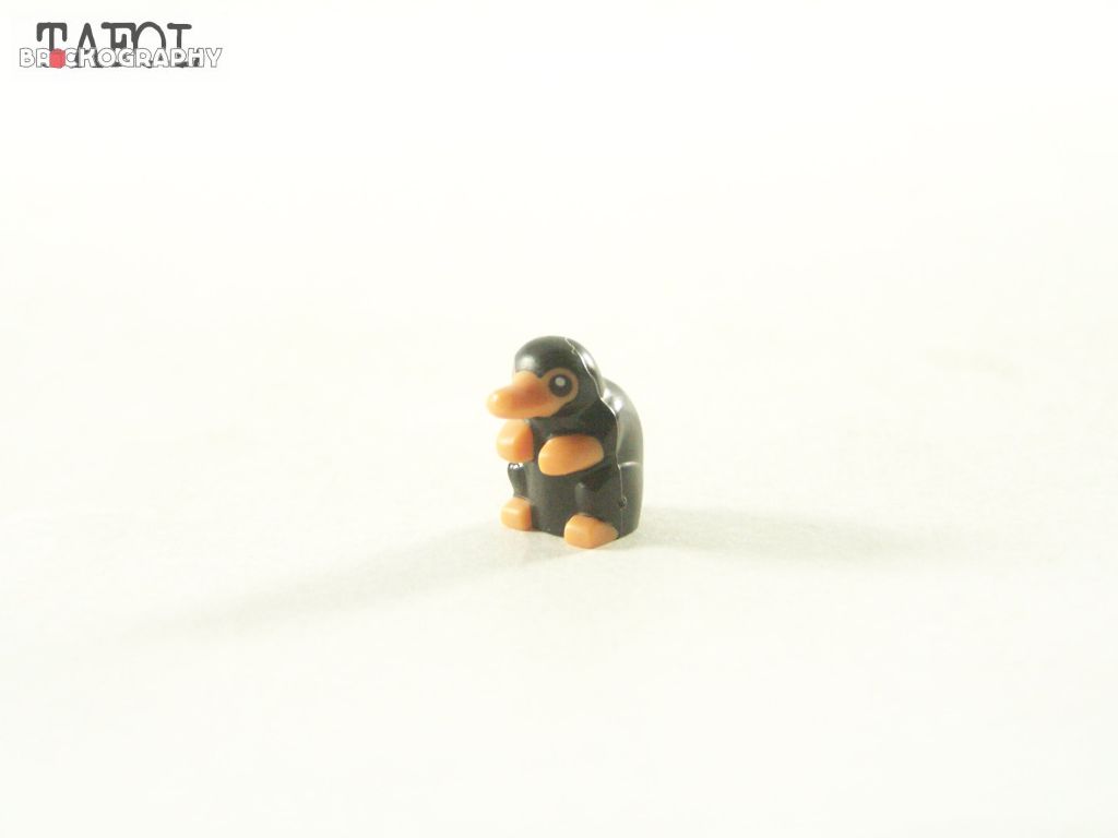 100_2241.jpg