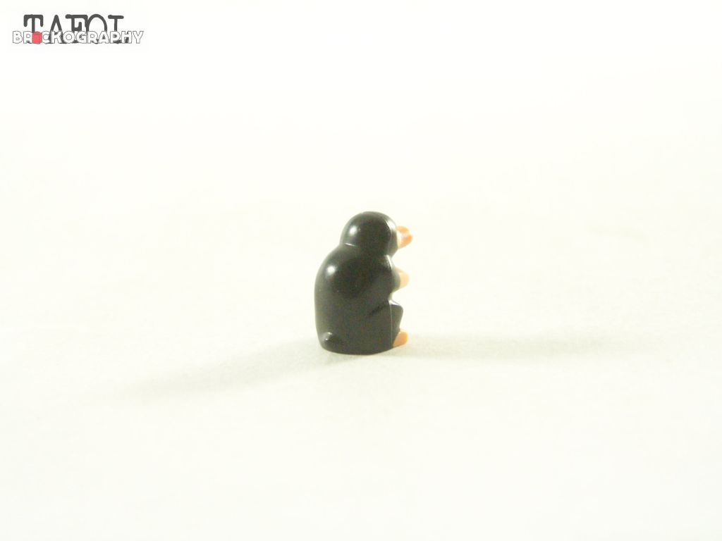 100_2242.jpg