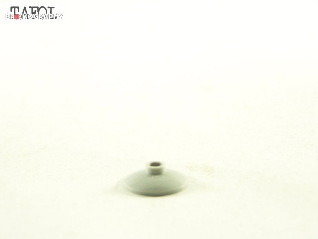 100_3979.jpg