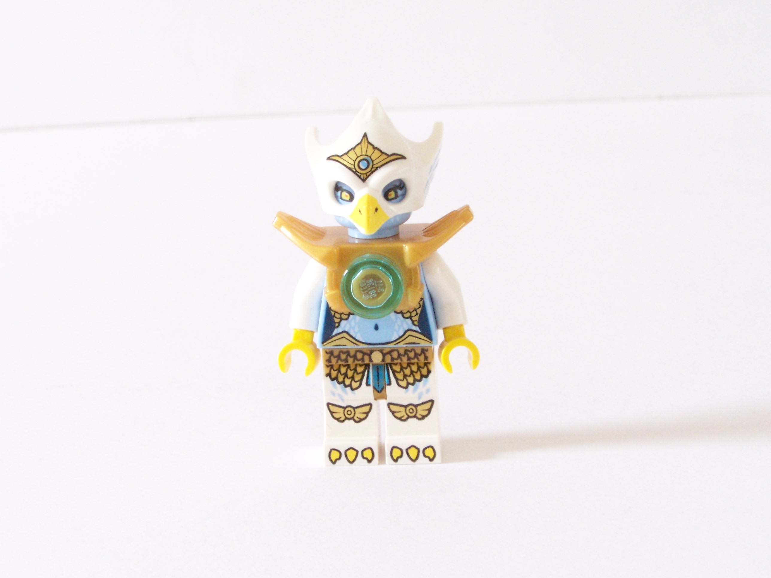 100_0602.jpg