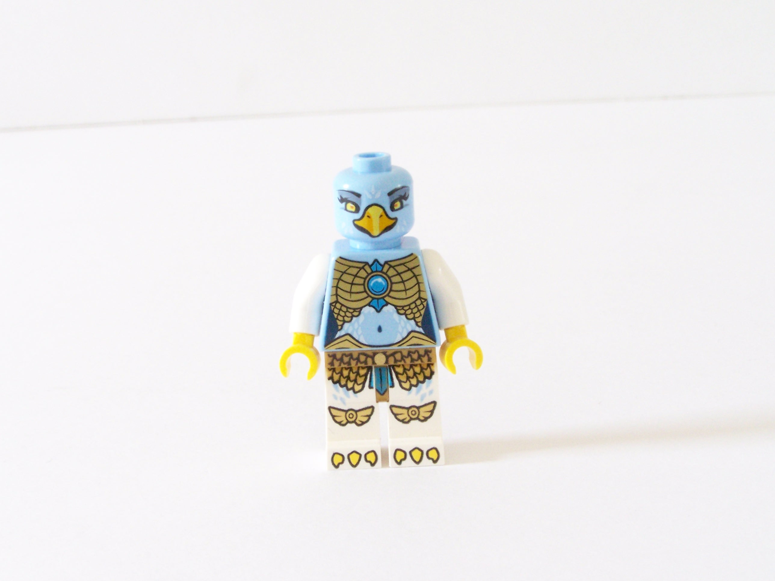 100_0603.jpg