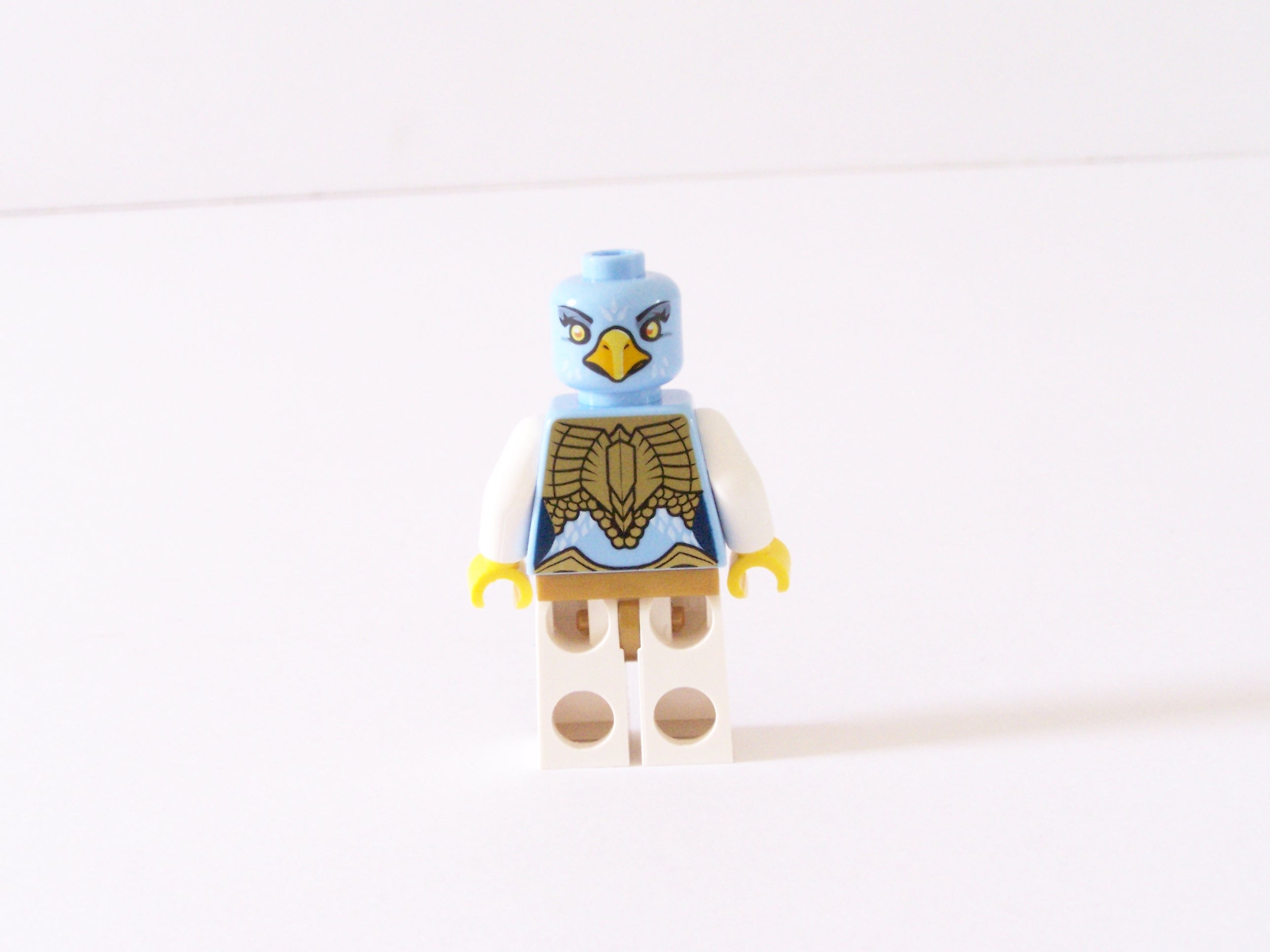 100_0604.jpg