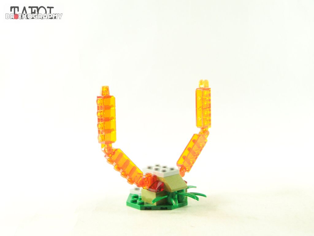 100_5995.jpg