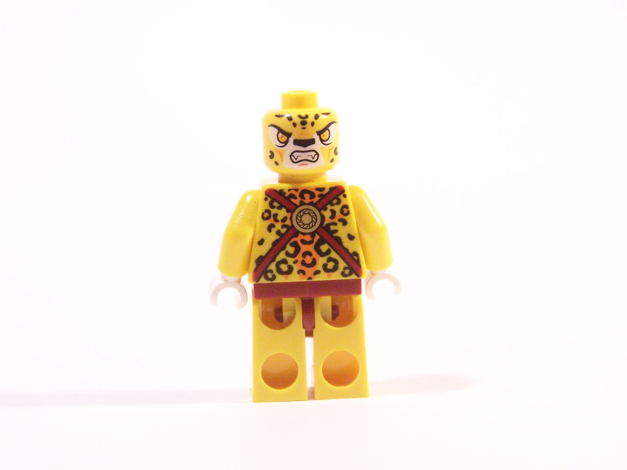 100_6929.jpg