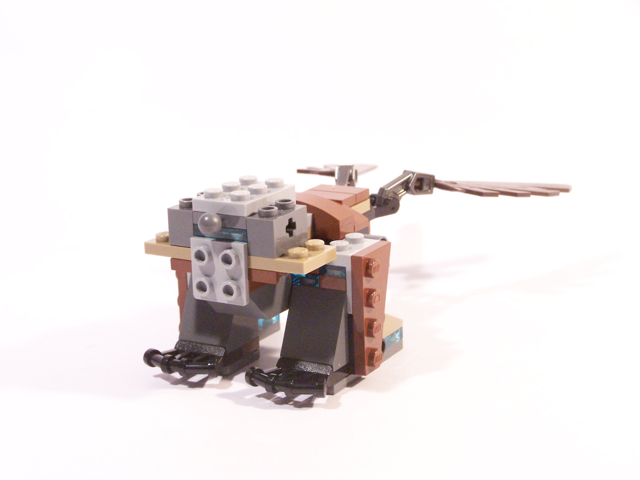 100_6968.jpg