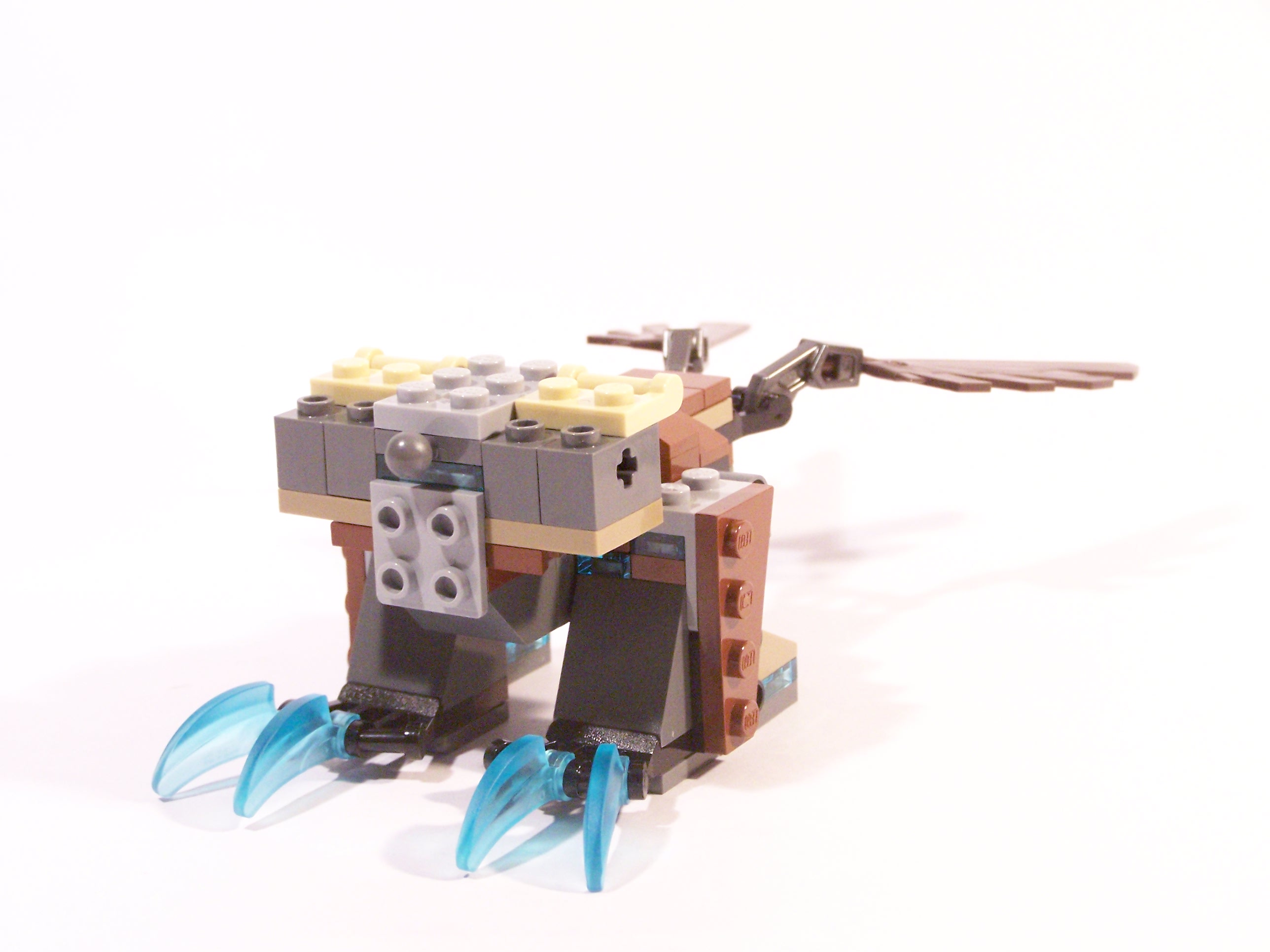 100_6970.jpg