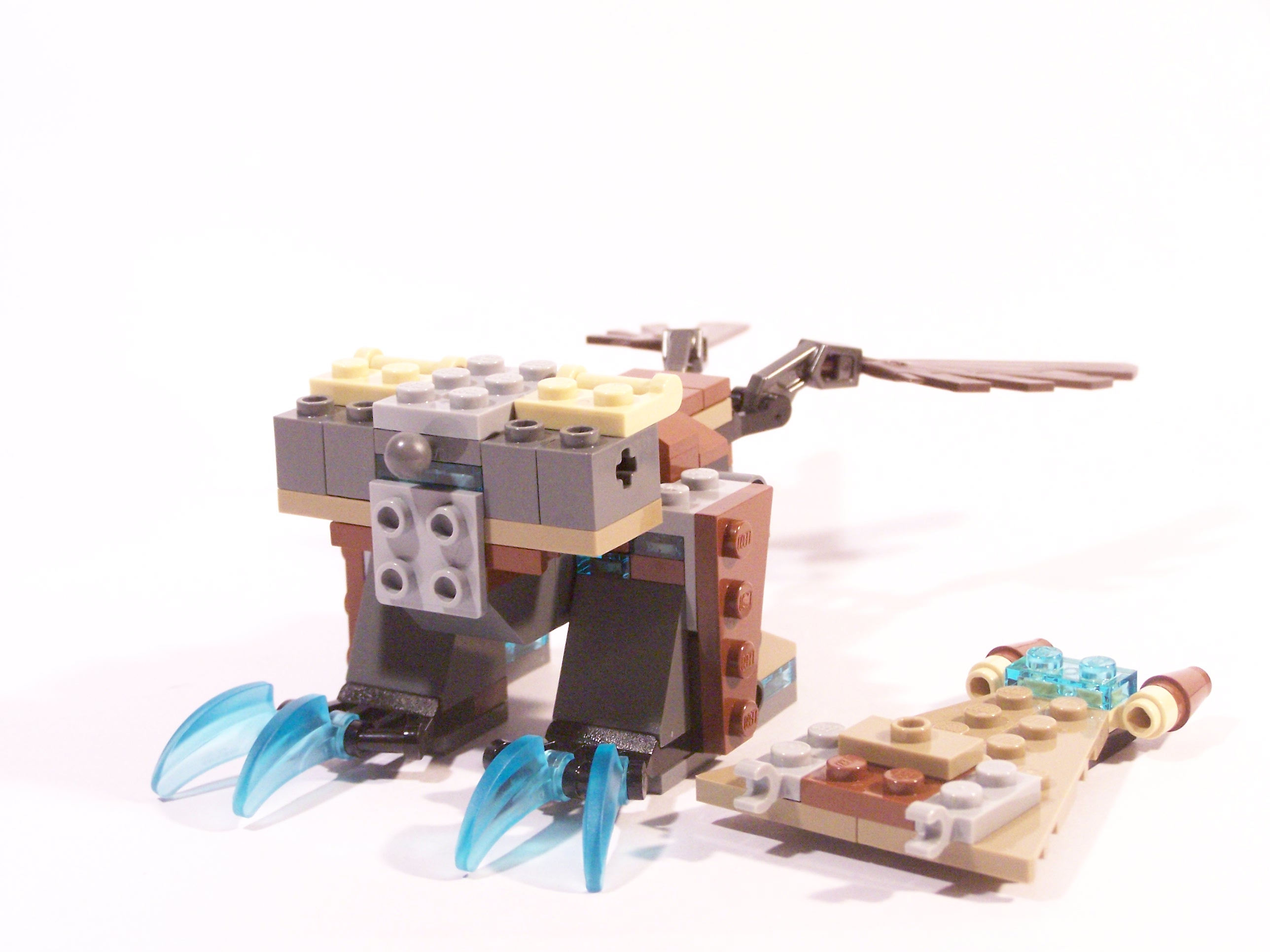 100_6975.jpg