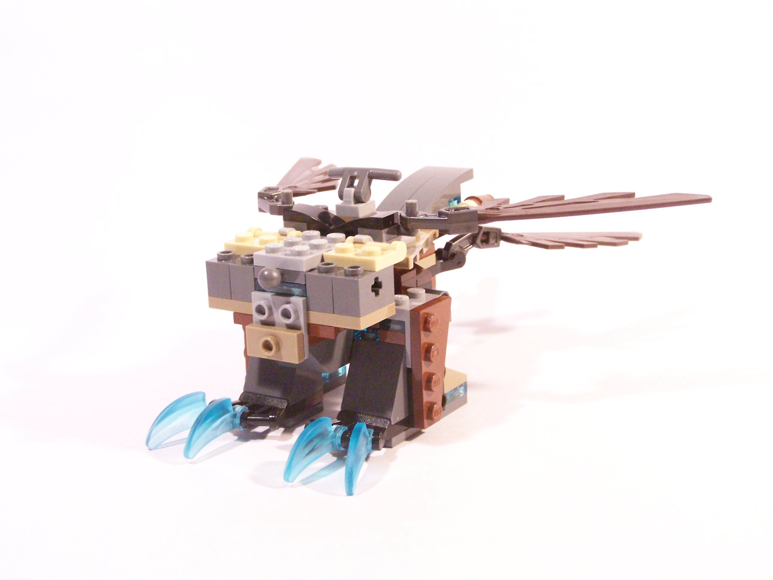 100_6979.jpg
