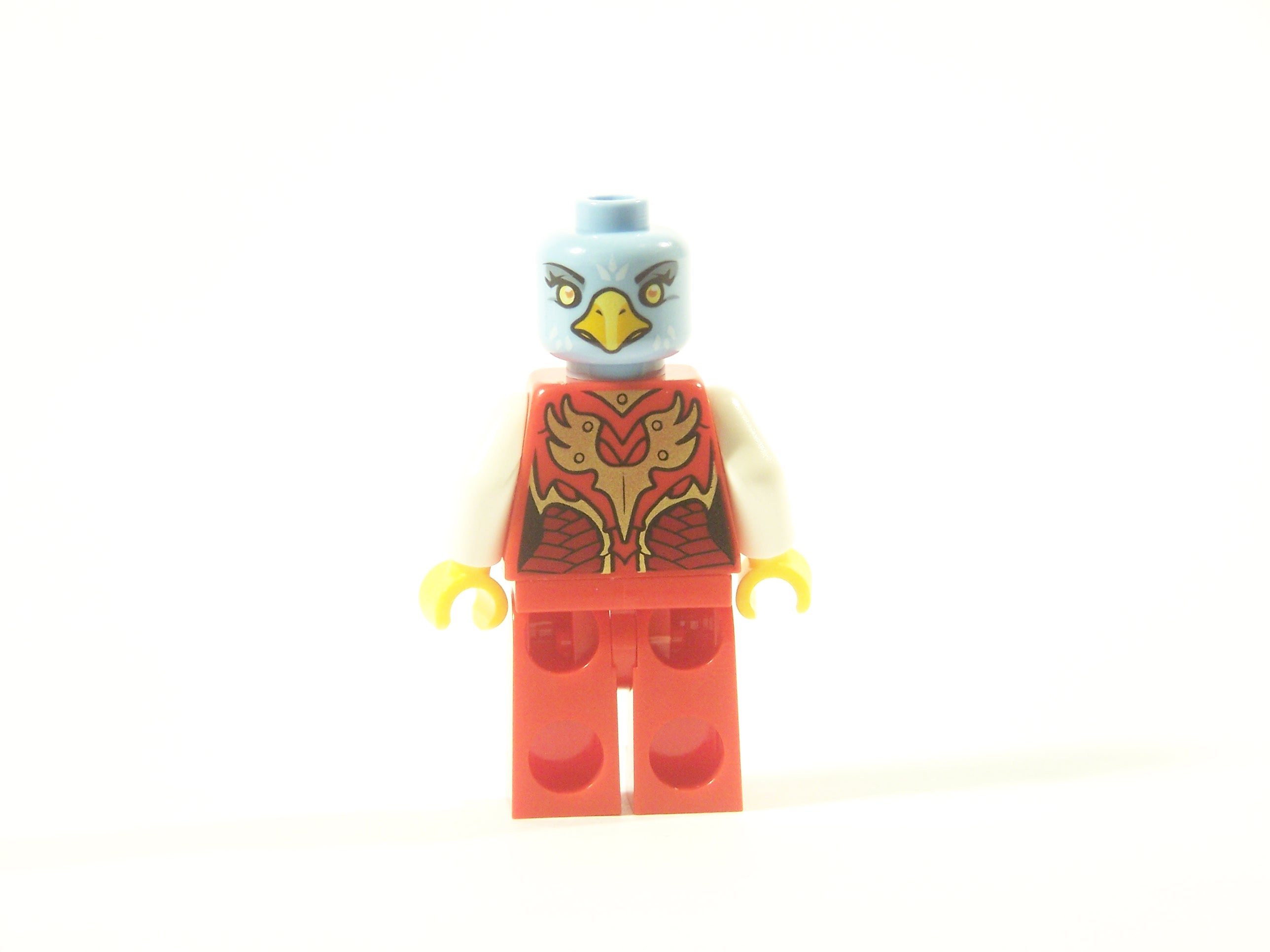 100_0195.jpg