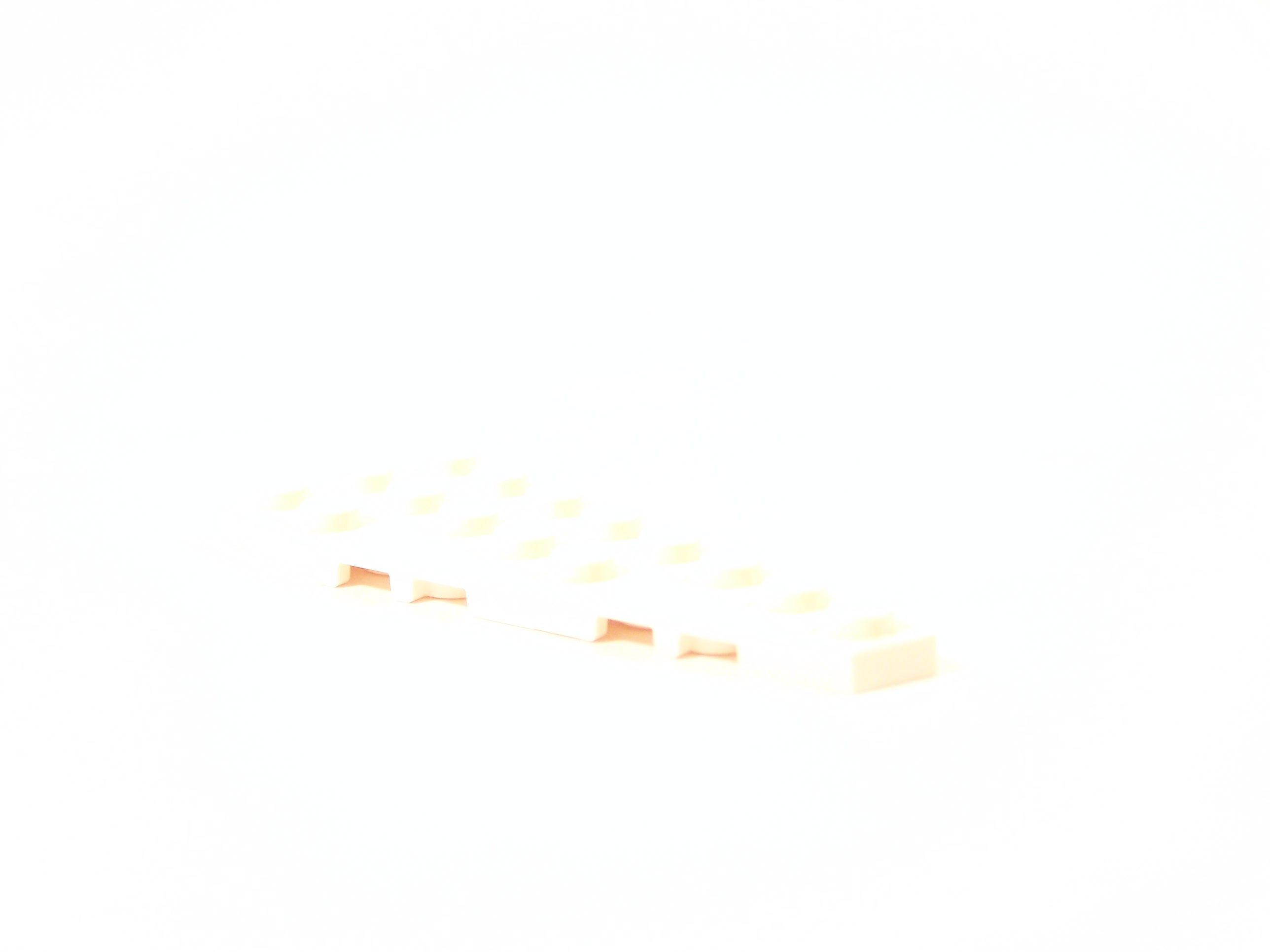 100_0247.jpg