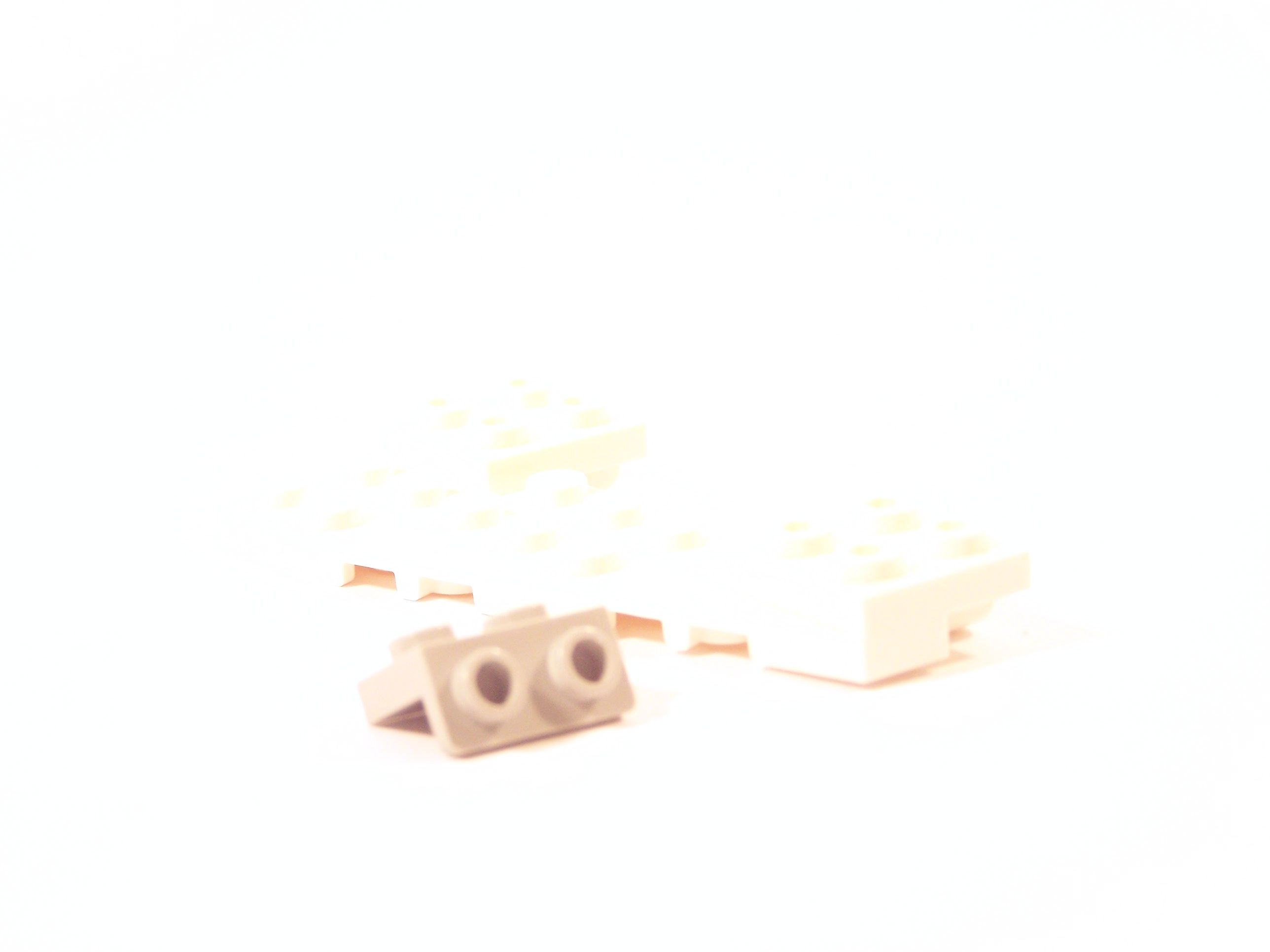 100_0248.jpg