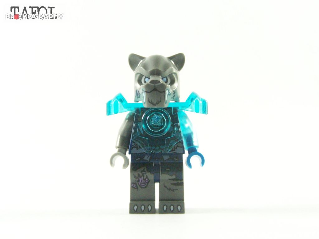 100_6010.jpg