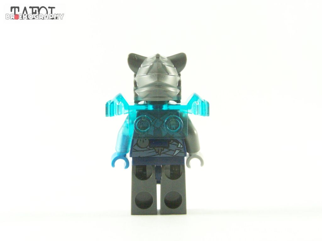 100_6011.jpg