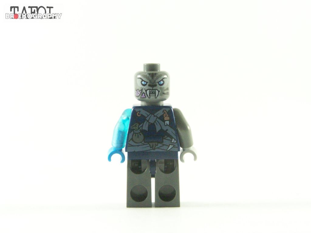 100_6013.jpg
