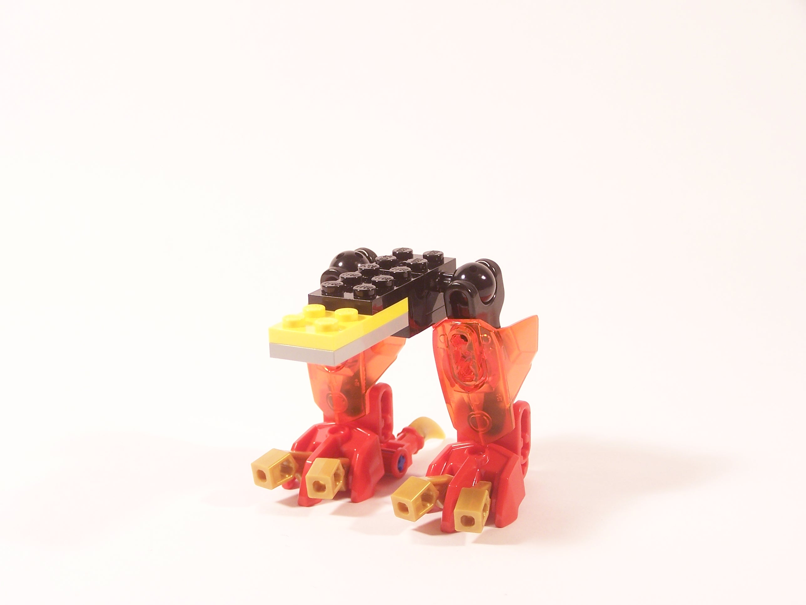 100_9081.jpg
