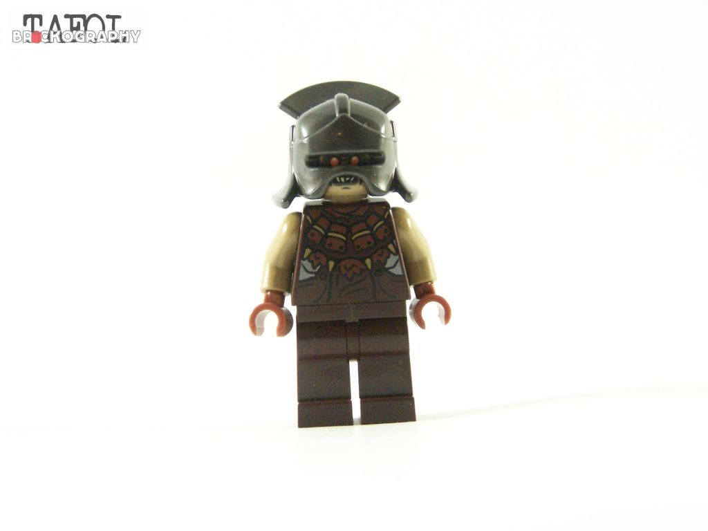 100_5543.jpg