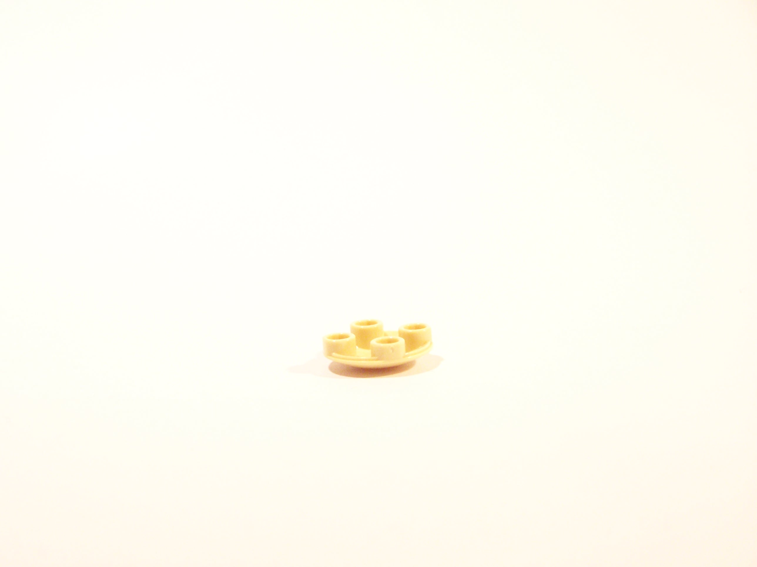 100_4066.jpg