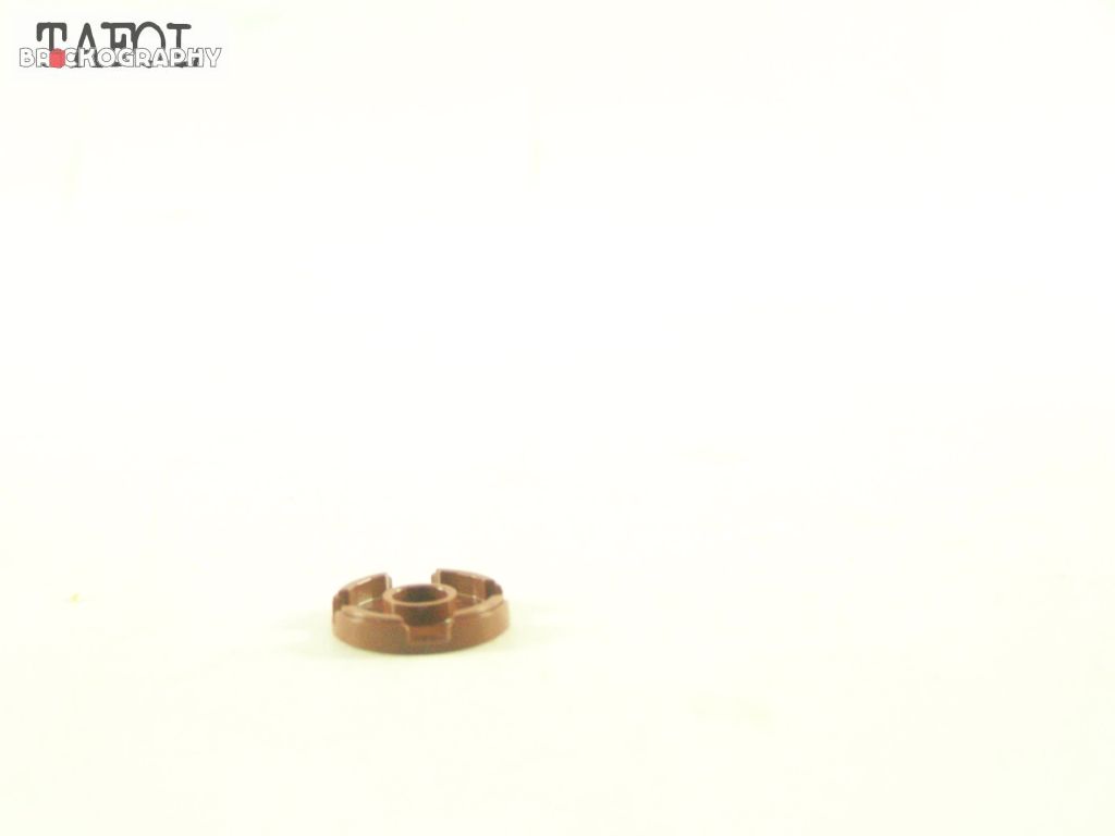 100_1403.jpg