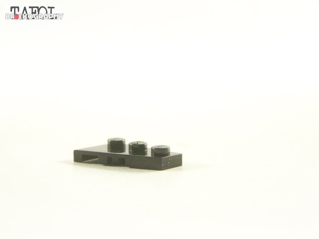 100_2310.jpg