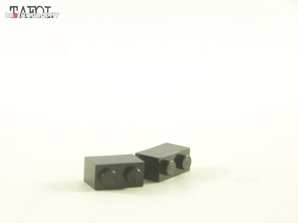 100_2400.jpg