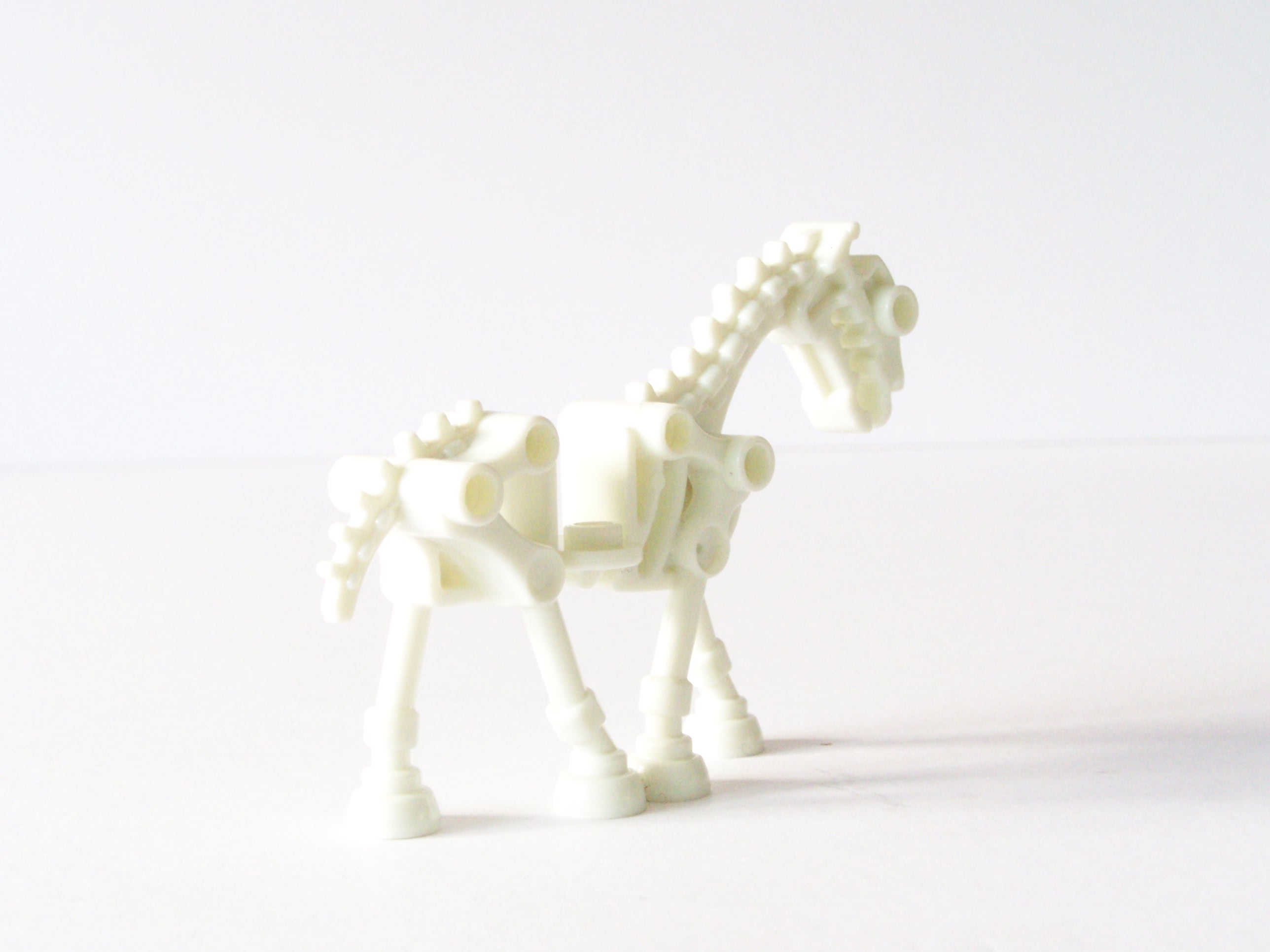 100_5947.jpg