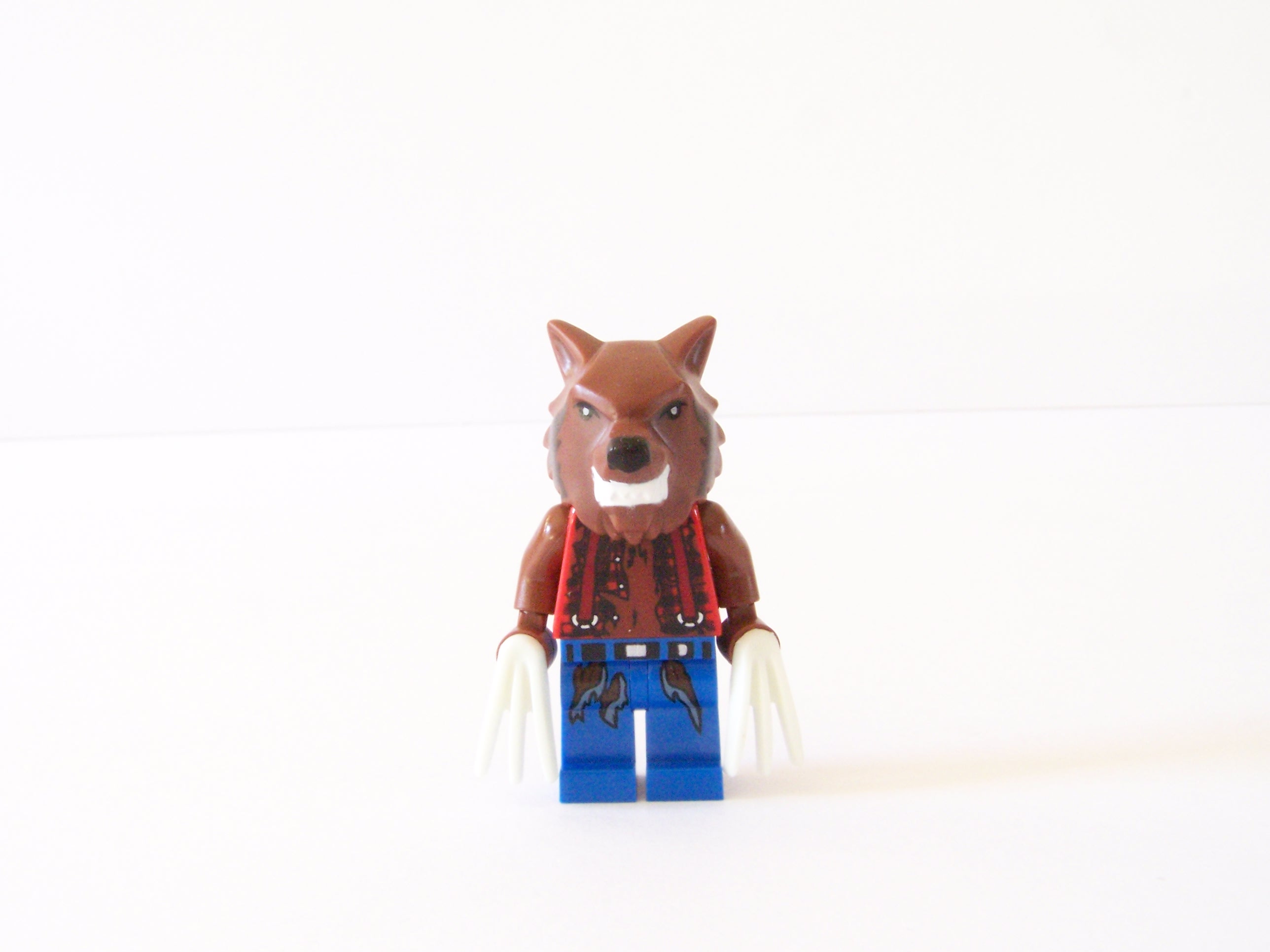100_6953.jpg