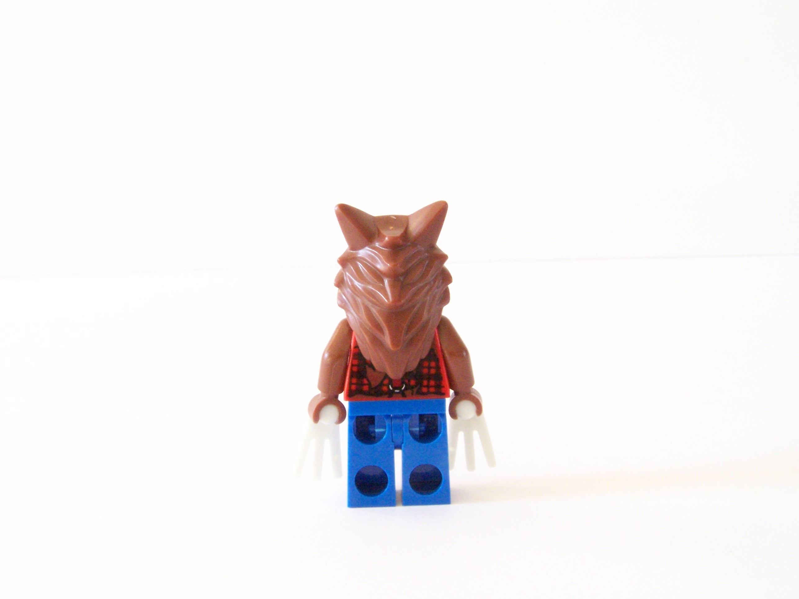 100_6954.jpg