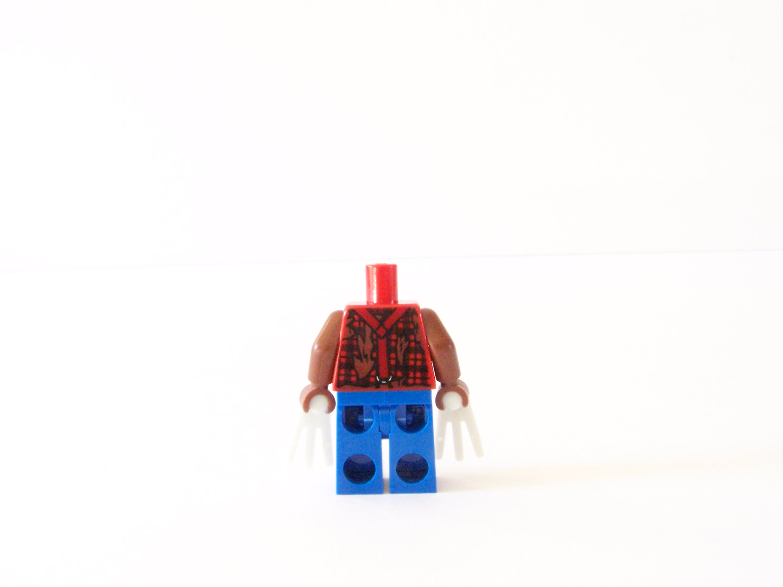 100_6955.jpg