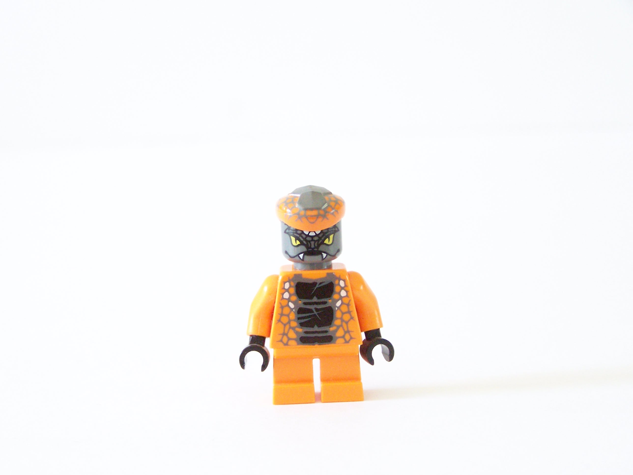 100_7225.jpg