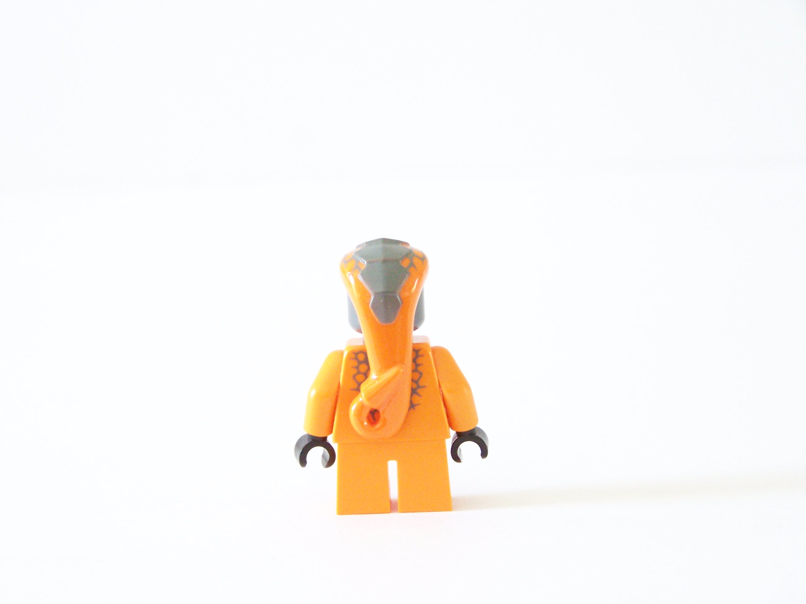 100_7226.jpg
